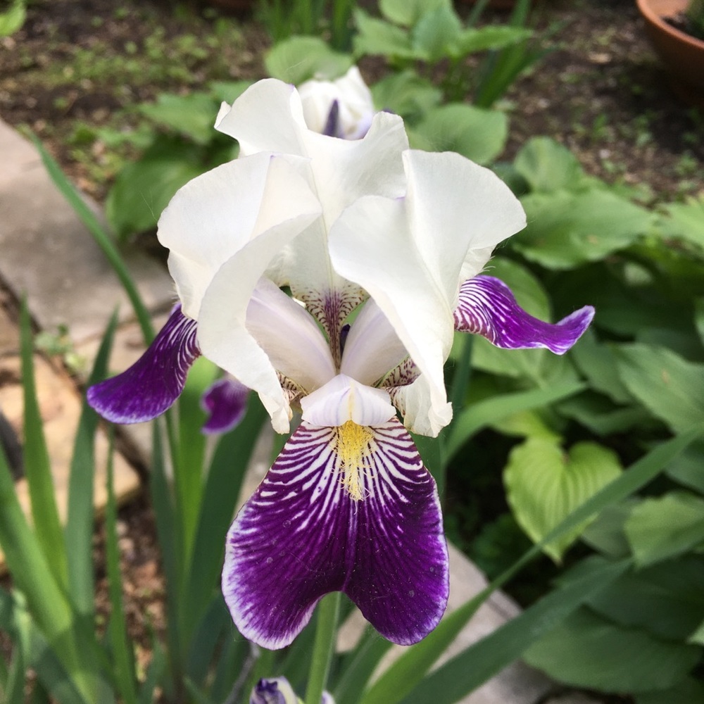 Hello! - Picture 15 of 16